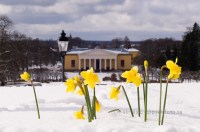 paskliljor-botaniska-tradgarden-magnet-souvenir-uppsala_DSC7330_3178.jpg