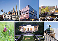 Domkyrkan, UKK, Valborg, Kungsängslilja, Botan och Gustavianum på ett vykort.