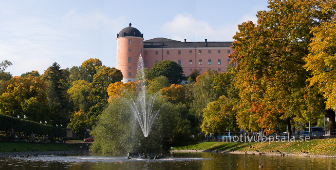 Uppsala slott & Svandammen på vykort