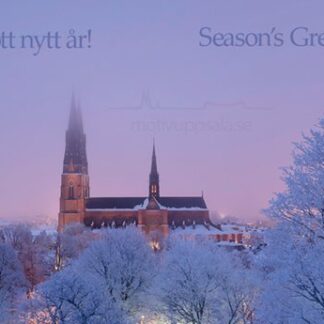 Julkort Uppsala Domkyrka