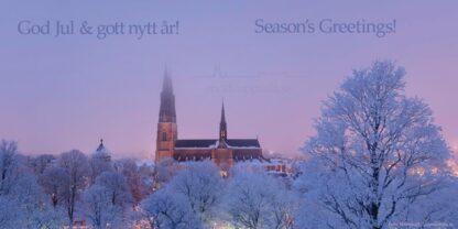 Julkort Uppsala Domkyrka